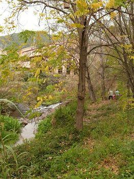 Moli De La Torre